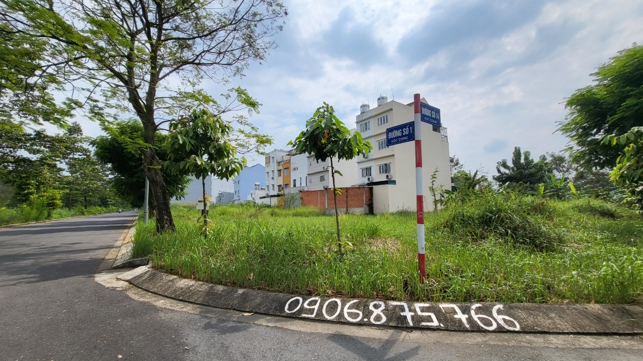 dat nen Binh Chanh anh 1