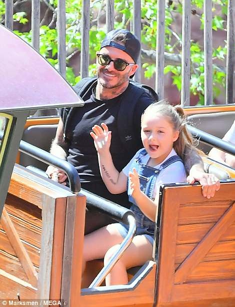 con gai David Beckham anh 3