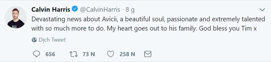 Avicii qua doi anh 5