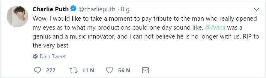 Avicii qua doi anh 6