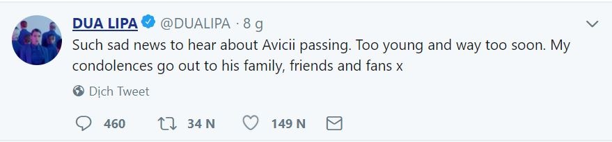 Avicii qua doi anh 7