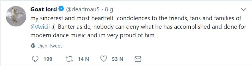 Avicii qua doi anh 9