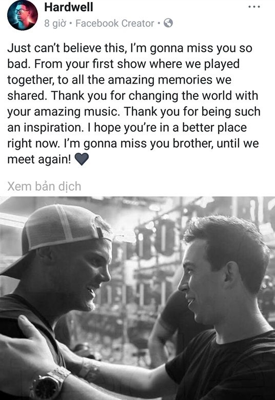 Avicii qua doi anh 1