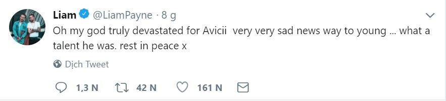 Avicii qua doi anh 8