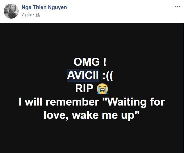 Avicii qua doi anh 10