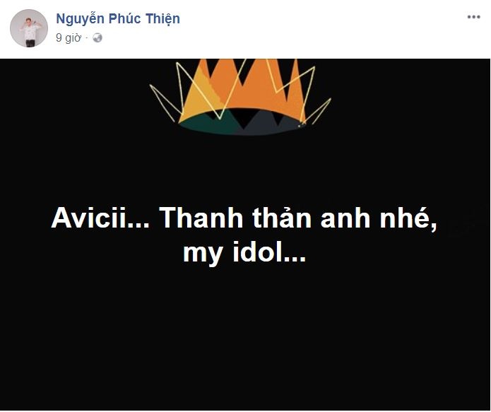 Avicii qua doi anh 11