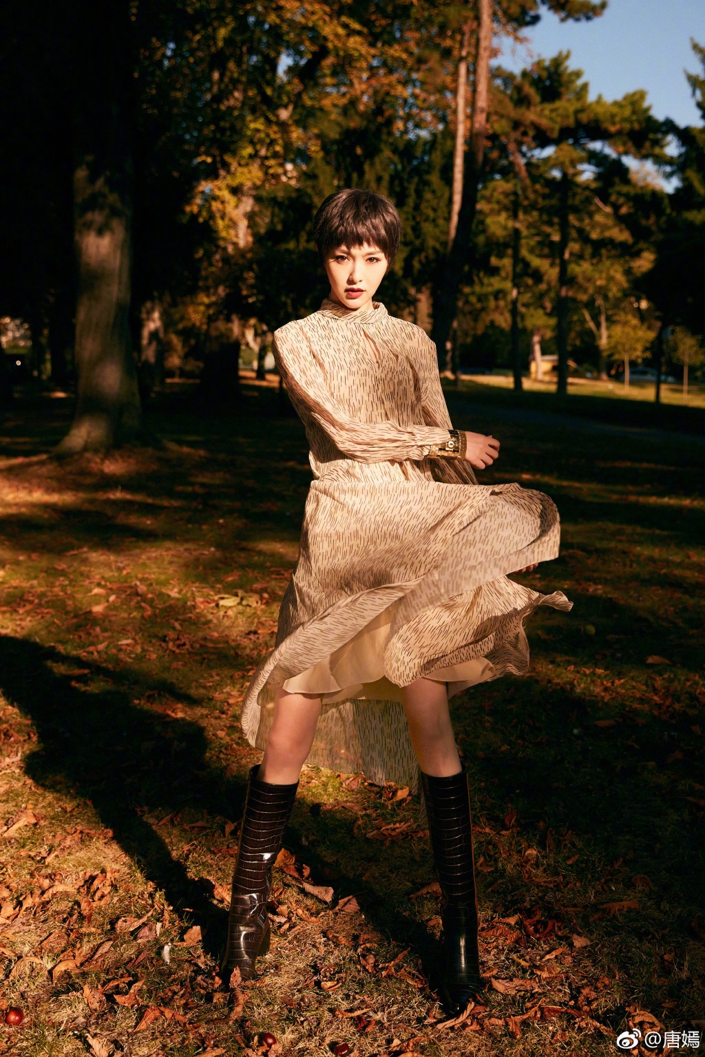 Đường Yên và lan tấn ảnh 4 Duong Yen va lan tan anh 4