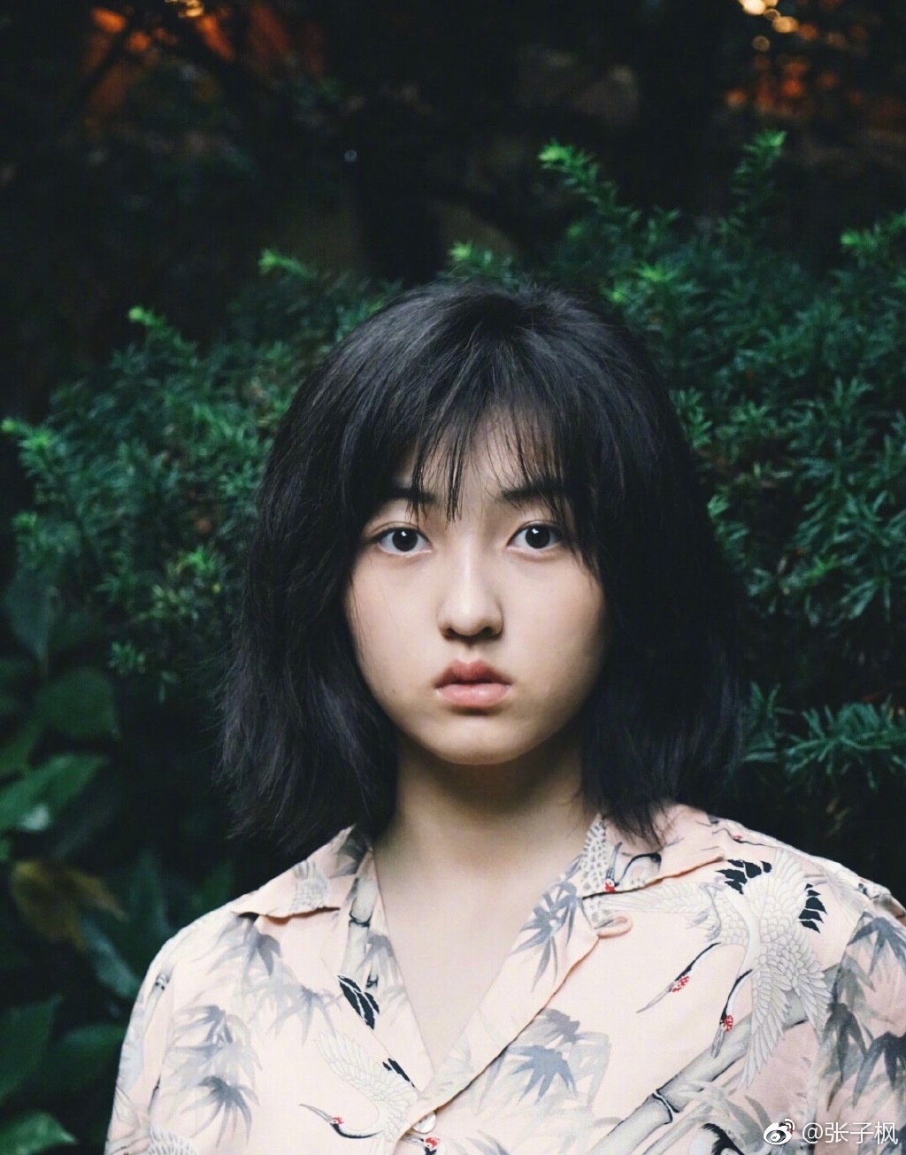 tieu hoa dan Trung Quoc anh 8