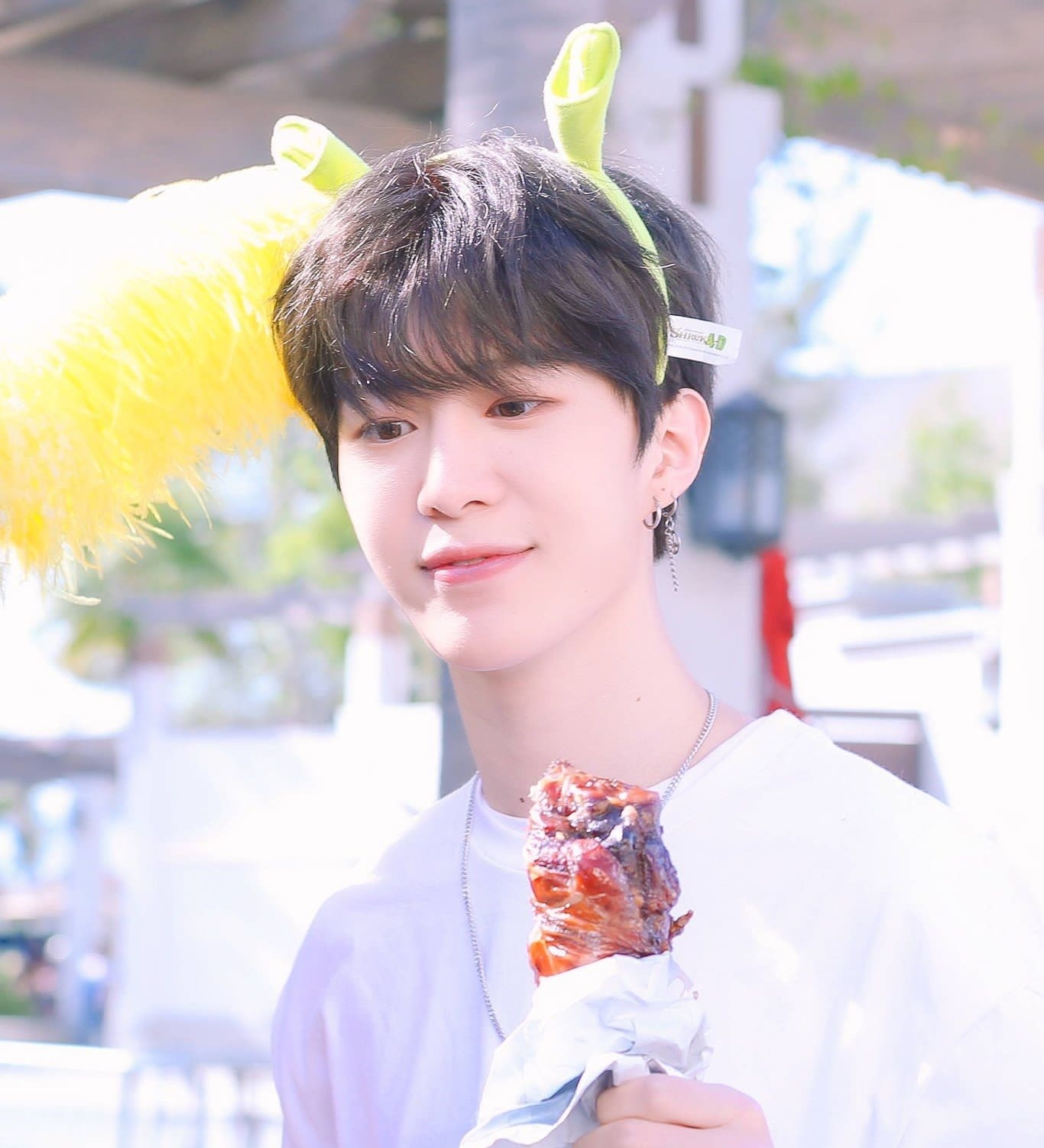 Ngo Diec Pham Loc Ham anh 11