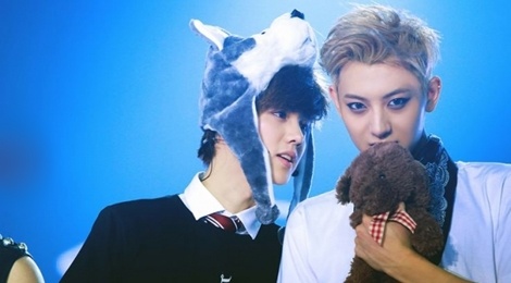 Loc Ham cong khai cam on Ngo Diec Pham va Hoang Tu Thao hinh anh