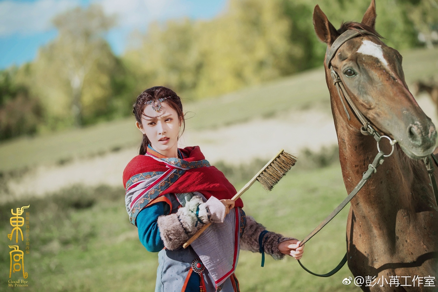 ga cung pham bang bang anh 1