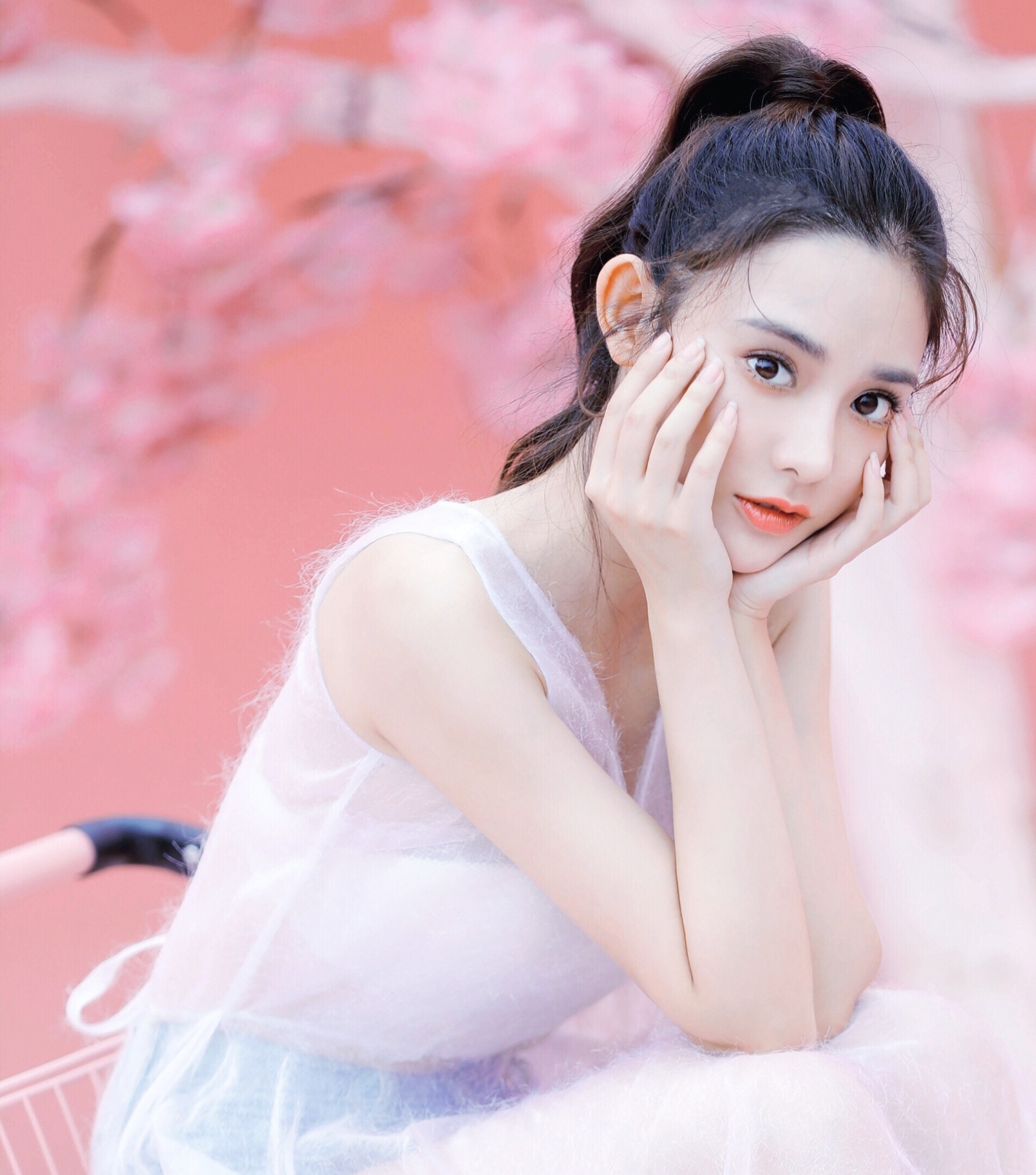 ga cung pham bang bang anh 11