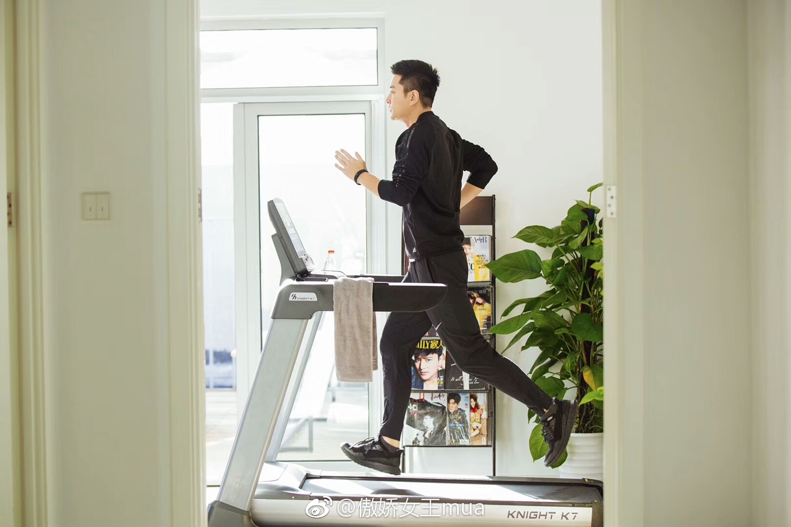 Giai Nai Luong Ly Tieu Lo anh 3