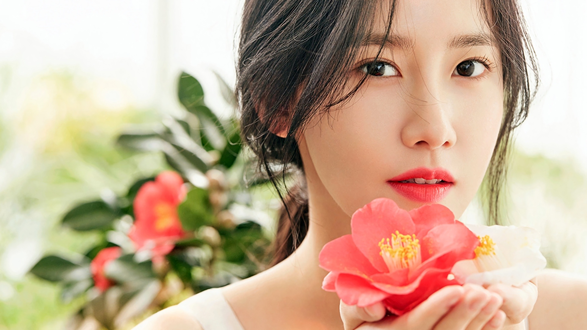 bieu tuong sac dep cua Han Quoc anh 3