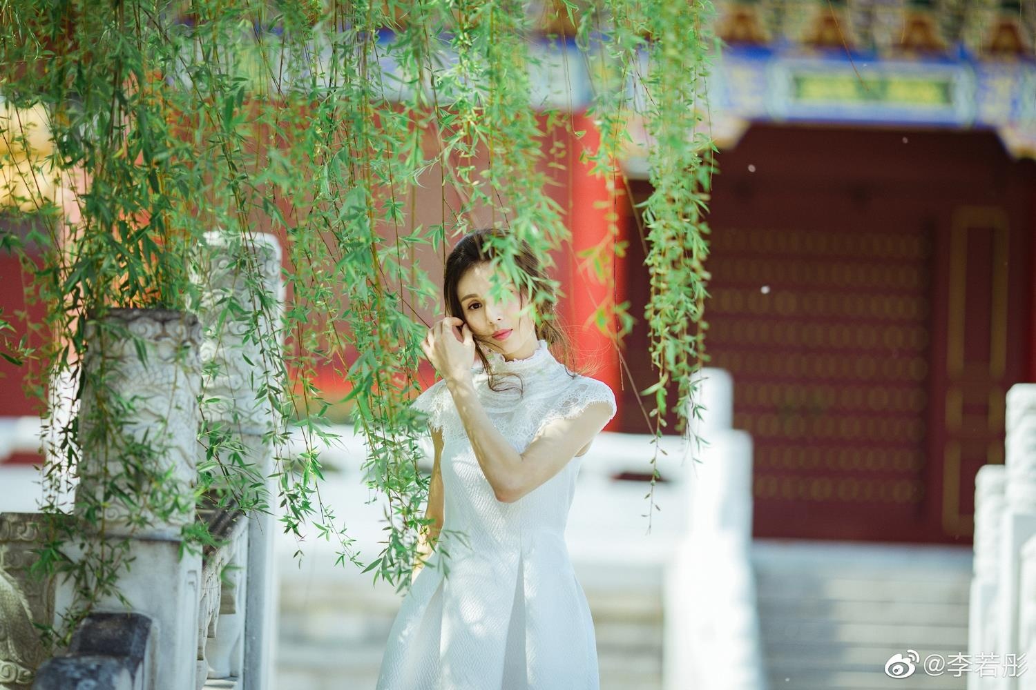 tieu long nu Ly Nhuoc Dong anh 4