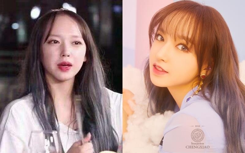 sao hoa ngu bi hoi dau anh 2