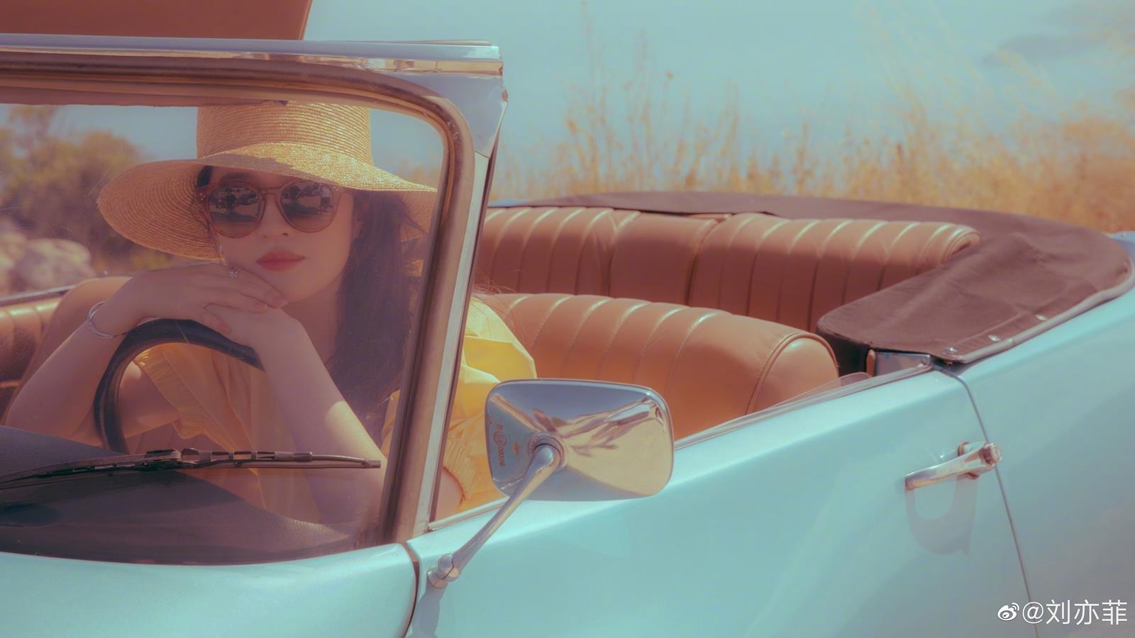 Hoa Moc Lan Luu Diec Phi anh 8