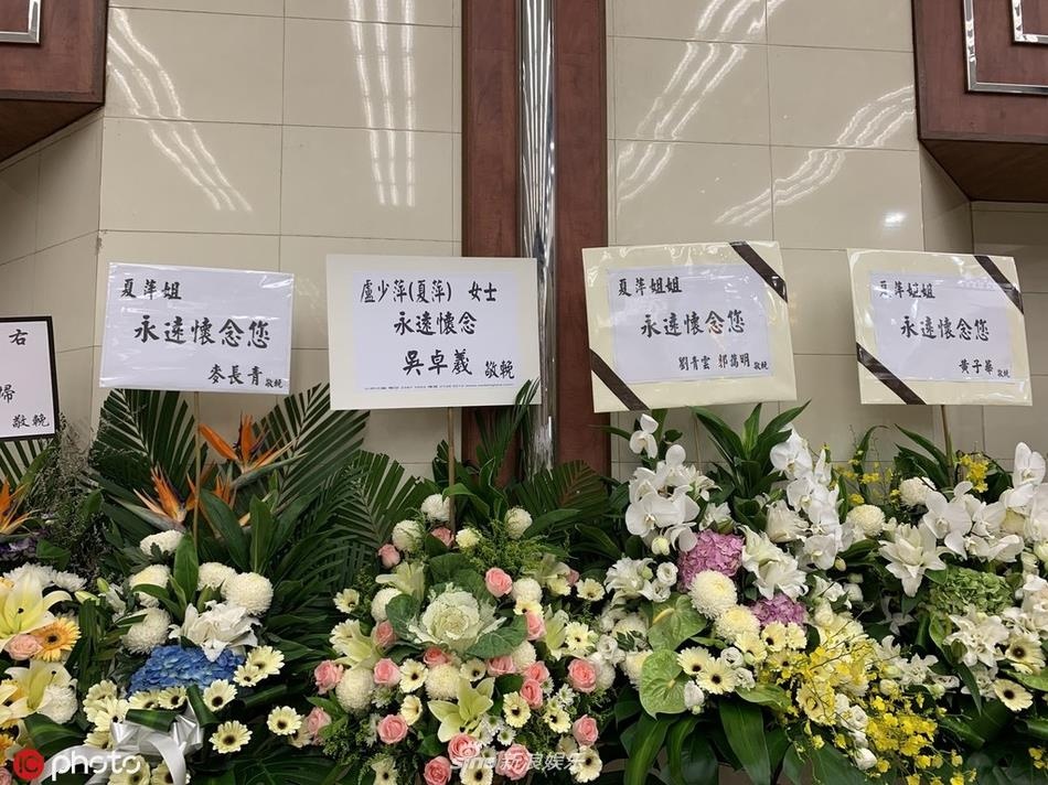 Ha Binh qua doi anh 8