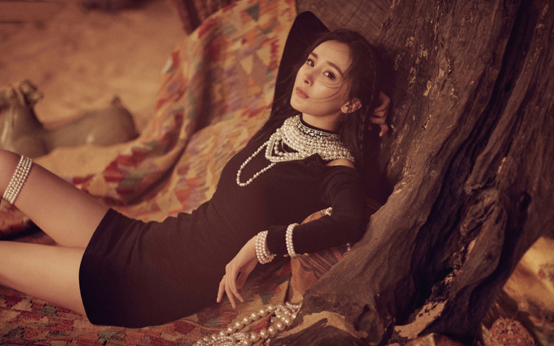 Duong Mich ban biet thu anh 2