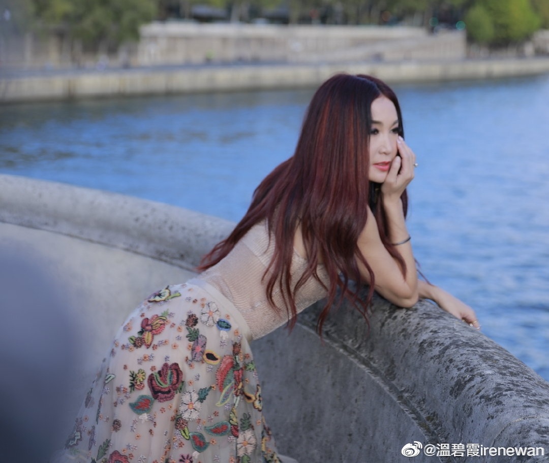 On Bich Ha mac do xuyen thau anh 1