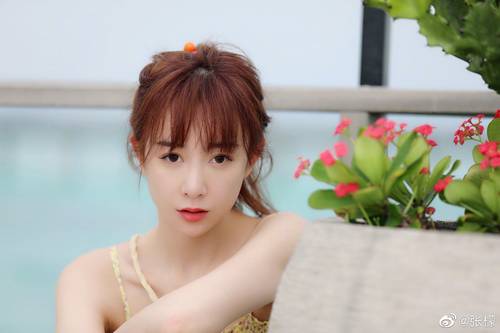 tham hoa tham my Truong Mong anh 1