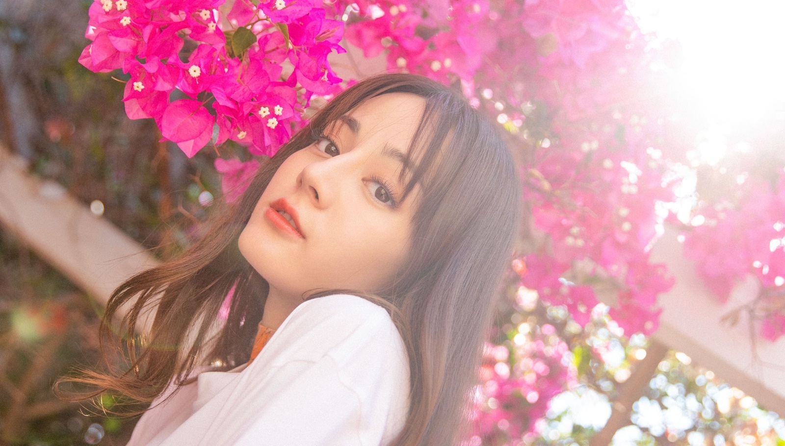 Dich Le Nhiet Ba anh 8