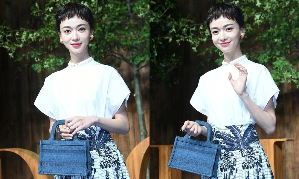 Ngo Can Ngon Dien Hy cong luoc anh 1