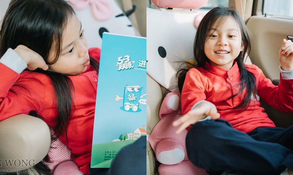 Gia Nai Luong Ly Tieu Lo anh 8