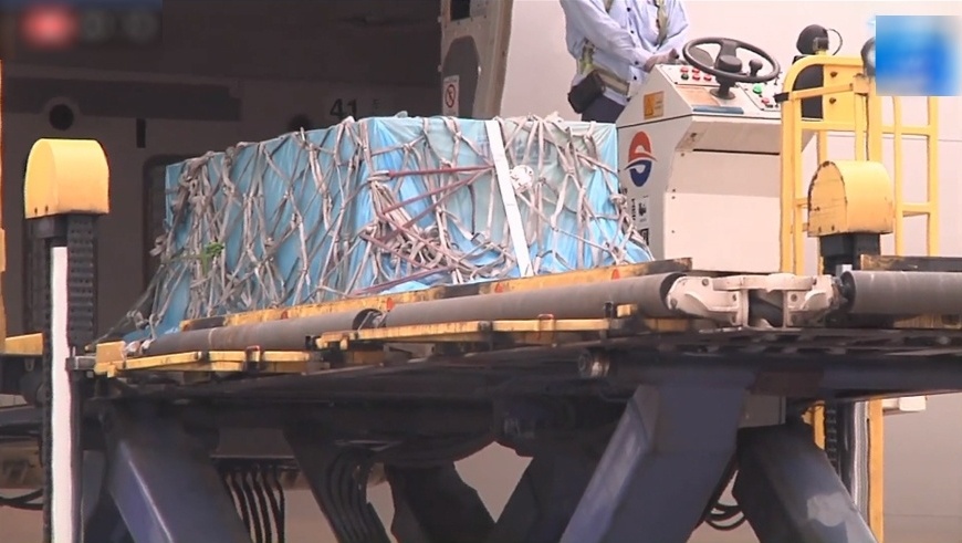 Cao Di Tuong qua doi anh 1