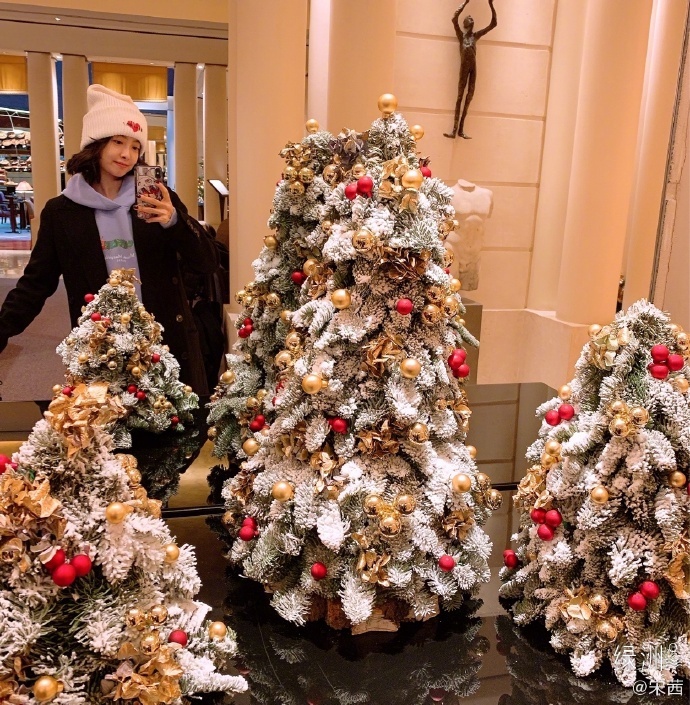 sao Hoa ngu don giang sinh anh 8