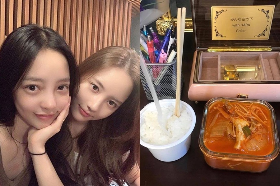 Goo Hara tu tu anh 1