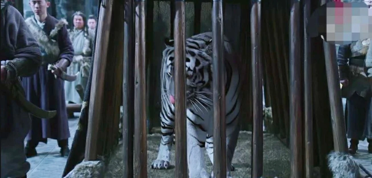 on hai kinh chi Thuong co mat uoc anh 2