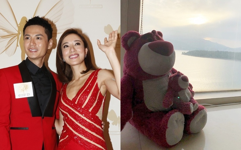 Duong Di mang thai anh 2