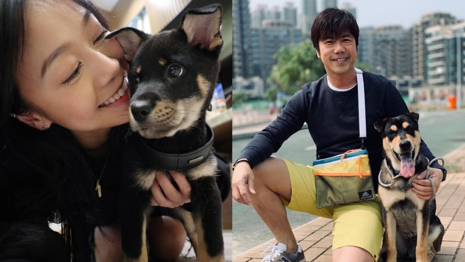 Hoang Tam Dinh anh 2