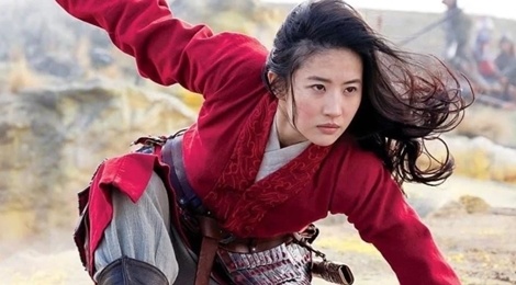 Ly do Luu Diec Phi duoc chon dong Hoa Moc Lan hinh anh