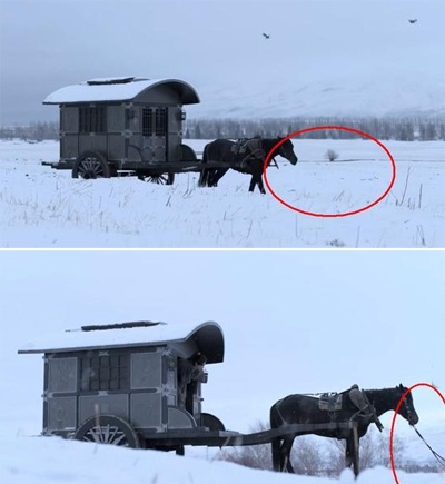 san trong Cam Y Chi Ha anh 12