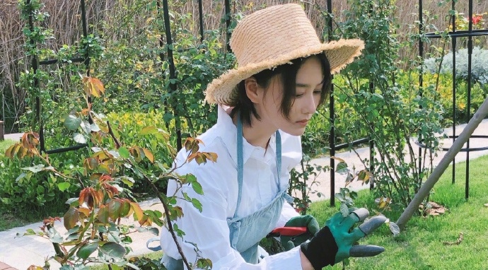 Truong Hinh Du o nha trong hoa trong luc nghi viec hinh anh