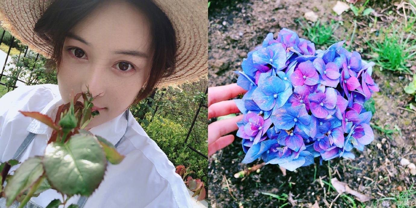 Truong Hinh Du anh 1