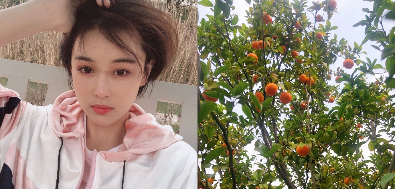 Truong Hinh Du anh 2