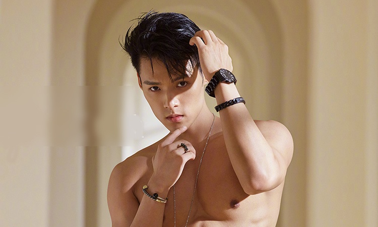 Dong Huu Lam - chau trai Thanh Long va chuyen bi tat 3 cai o san khau hinh anh