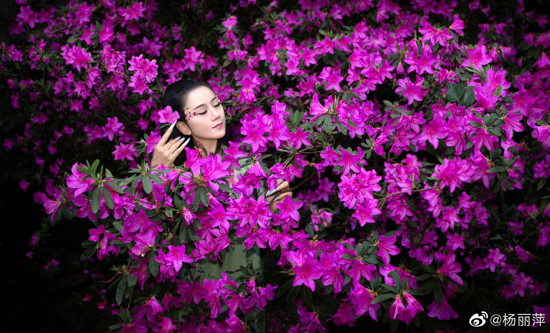 Dương Lệ Bình ảnh 7 Duong Le Binh anh 7