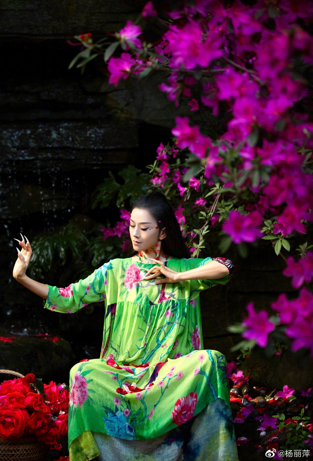 Dương Lệ Bình ảnh 4 Duong Le Binh anh 4