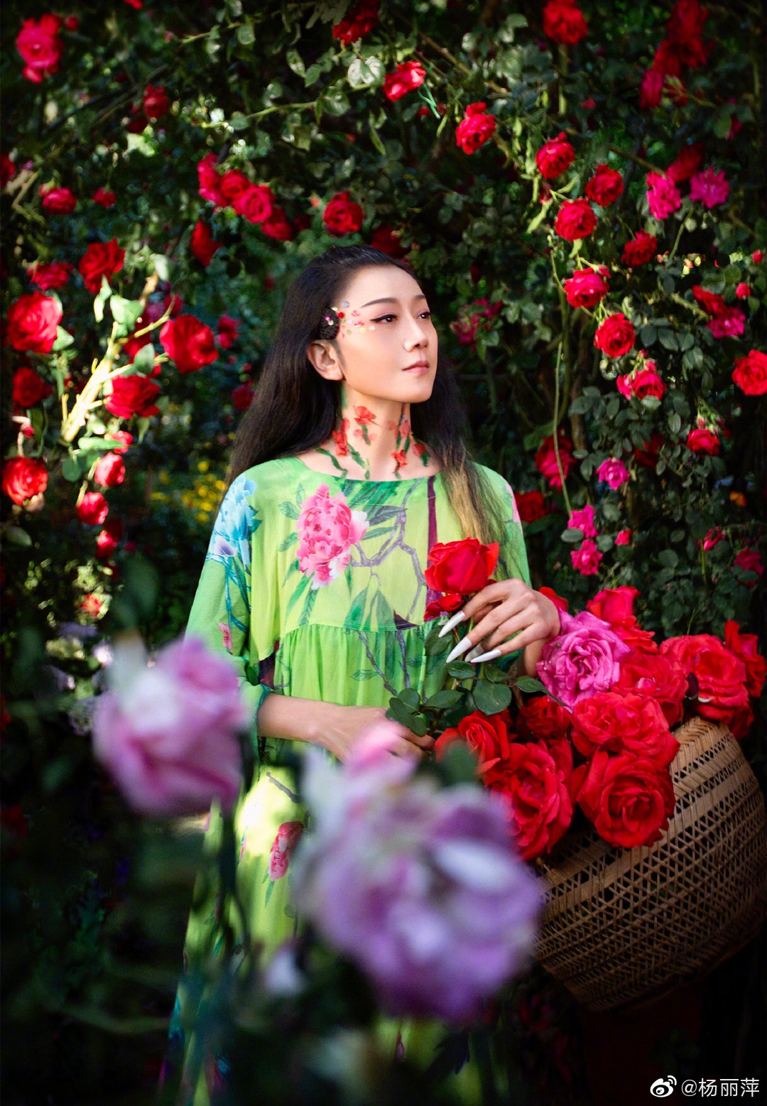 Dương Lệ Bình ảnh 2 Duong Le Binh anh 2