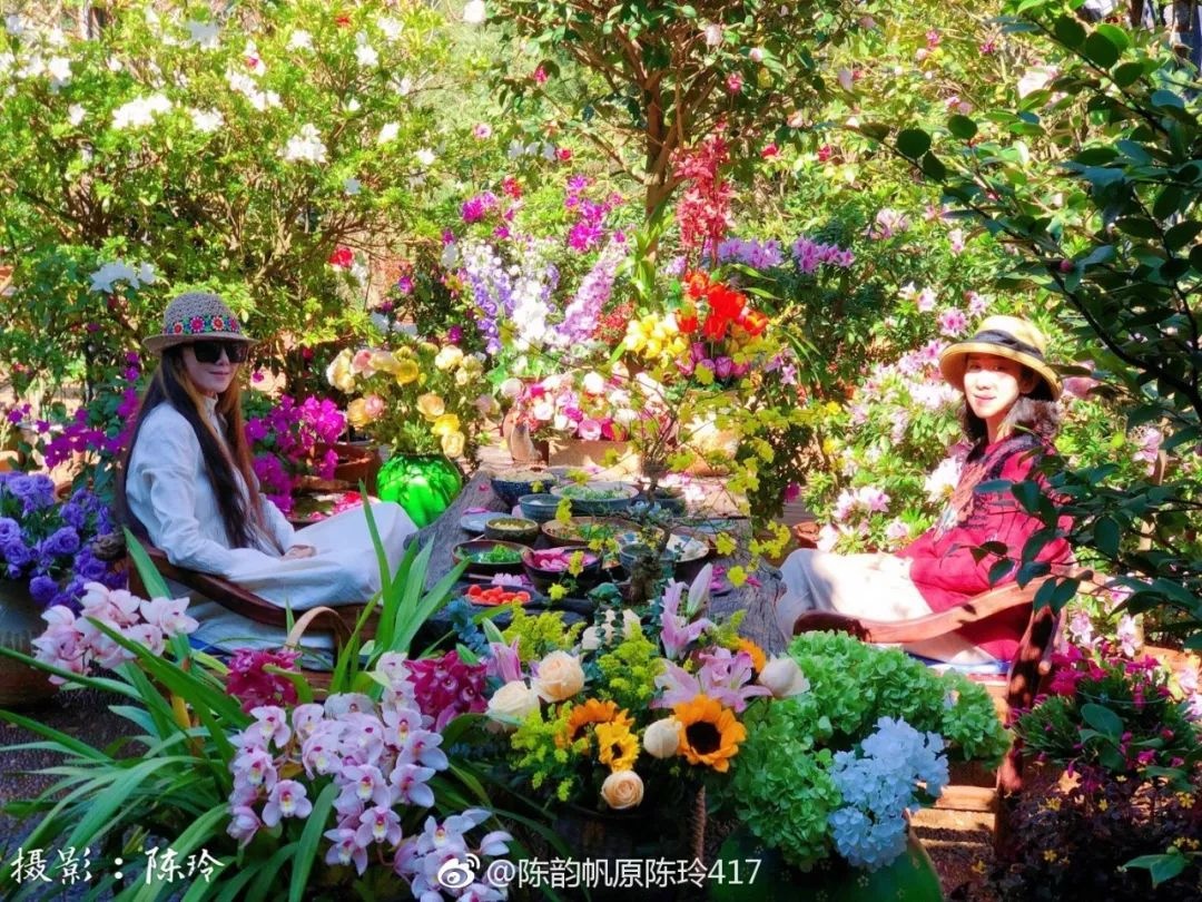 Dương Lệ Bình ảnh 9 Duong Le Binh anh 9
