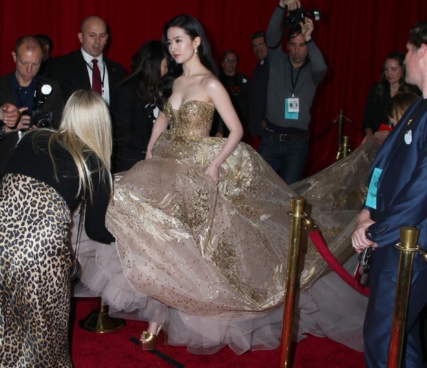 Luu Diec Phi thoi tre anh 11