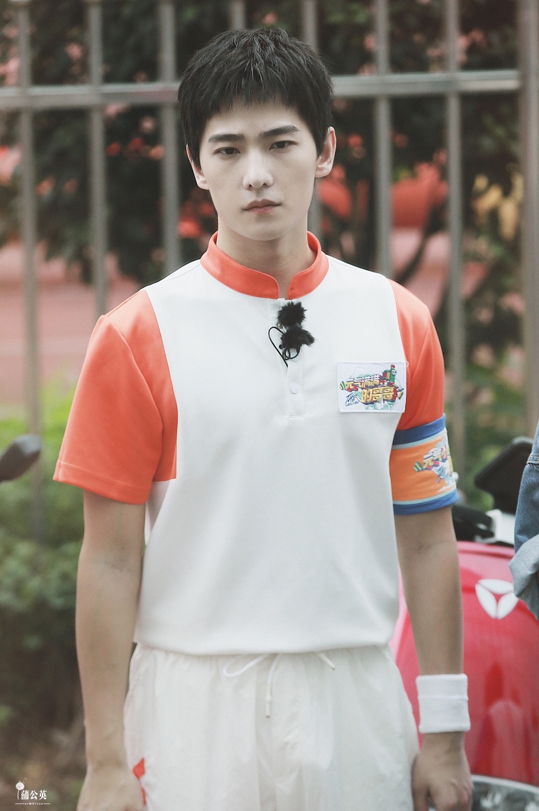 Dương Dương hoa tỷ đệ ảnh 6 Duong Duong hoa ty de anh 6