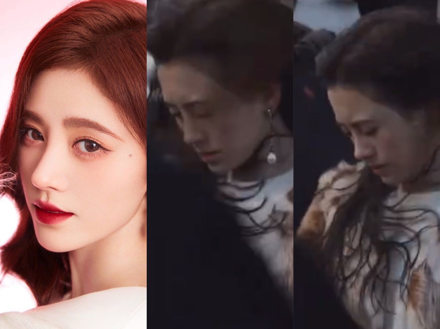 Cuc Tinh Y noi doi anh 1