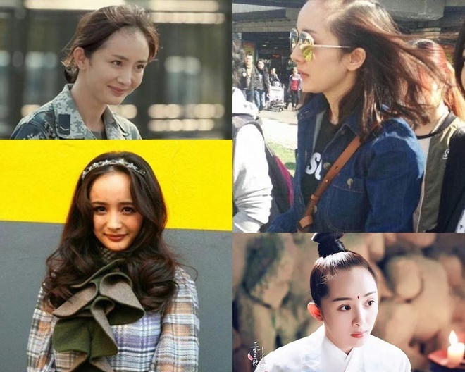 Cuc Tinh Y noi doi anh 2