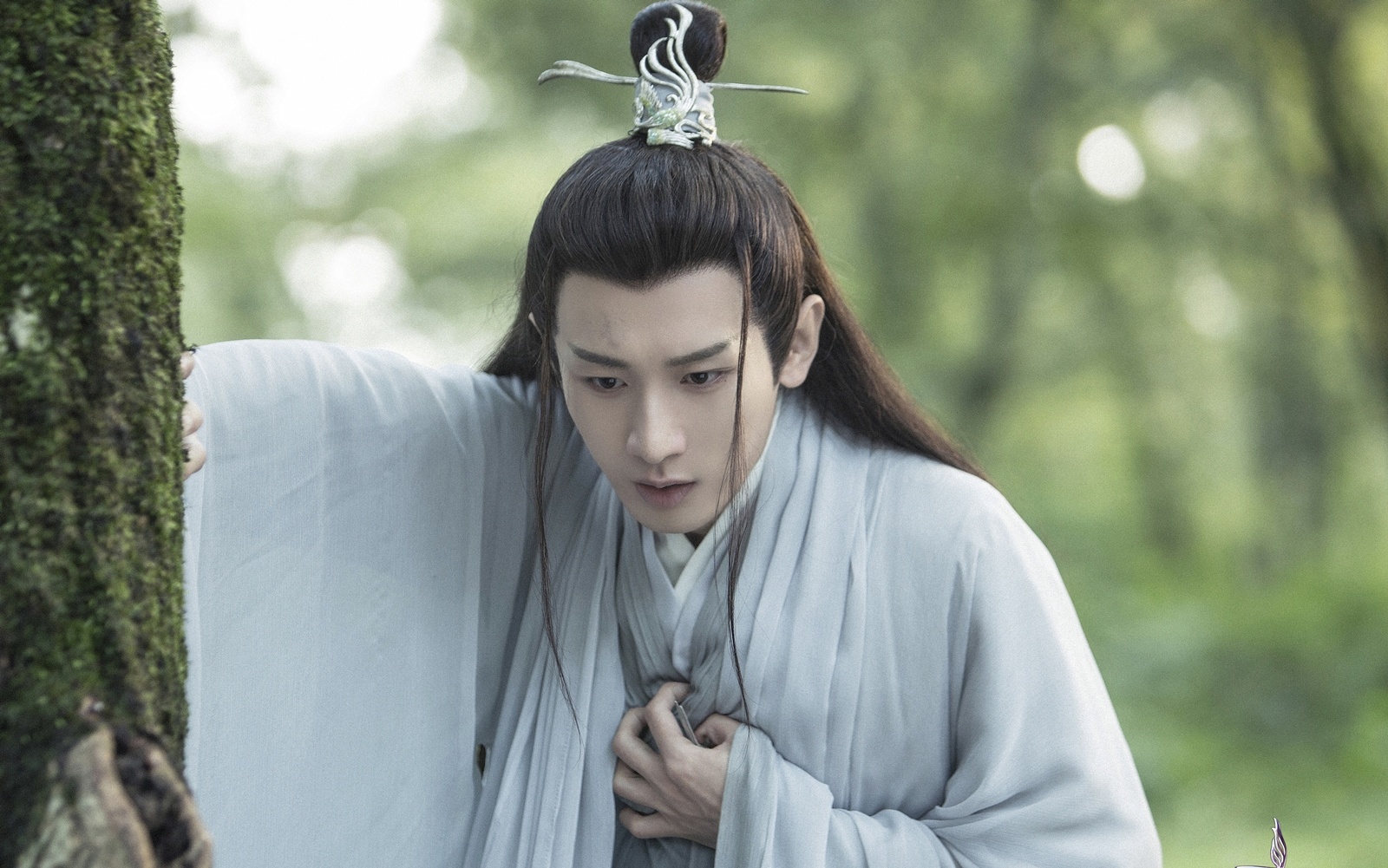 Luu Ly my nhan sat anh 5