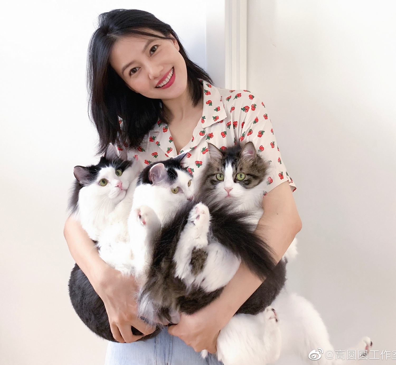 Chu Chỉ Nhược Cao Viên Viên ảnh 12 Chu Chi Nhuoc Cao Vien Vien anh 12